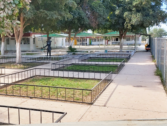 Colegio Valladolid